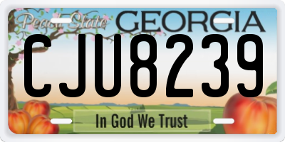 GA license plate CJU8239