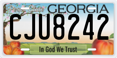 GA license plate CJU8242