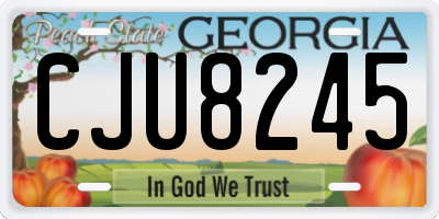 GA license plate CJU8245