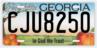 GA license plate CJU8250