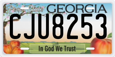 GA license plate CJU8253