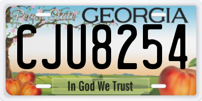 GA license plate CJU8254