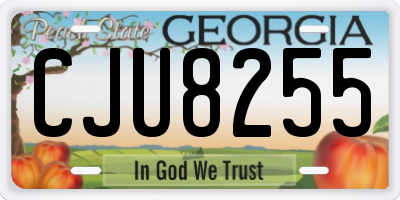 GA license plate CJU8255