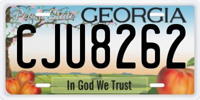 GA license plate CJU8262