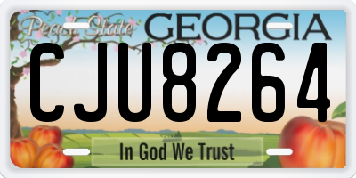 GA license plate CJU8264