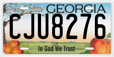 GA license plate CJU8276