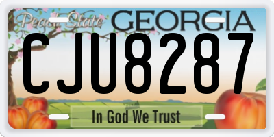 GA license plate CJU8287