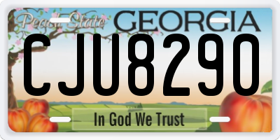 GA license plate CJU8290