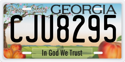 GA license plate CJU8295