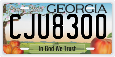 GA license plate CJU8300