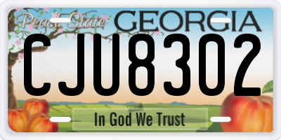 GA license plate CJU8302