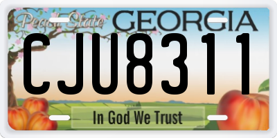 GA license plate CJU8311