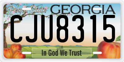 GA license plate CJU8315
