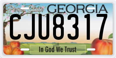 GA license plate CJU8317