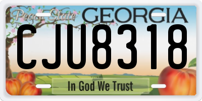 GA license plate CJU8318