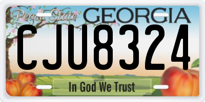 GA license plate CJU8324