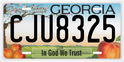GA license plate CJU8325