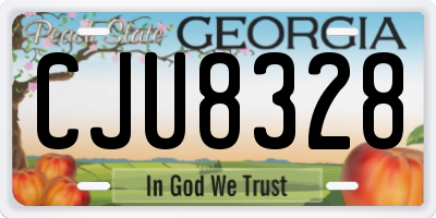 GA license plate CJU8328