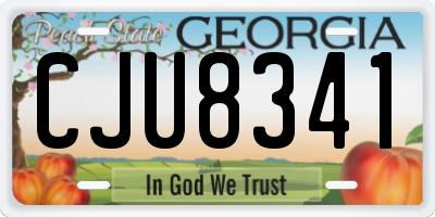 GA license plate CJU8341