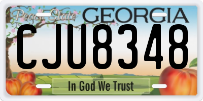 GA license plate CJU8348