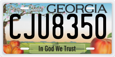GA license plate CJU8350