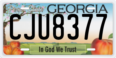 GA license plate CJU8377