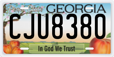 GA license plate CJU8380