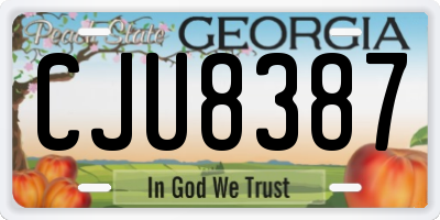 GA license plate CJU8387