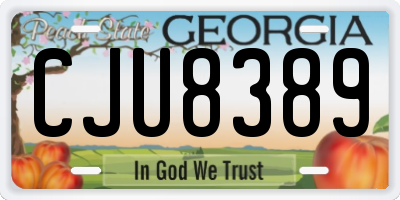 GA license plate CJU8389