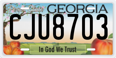 GA license plate CJU8703