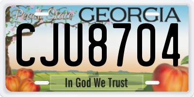 GA license plate CJU8704