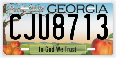 GA license plate CJU8713