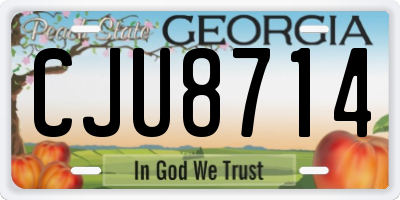 GA license plate CJU8714