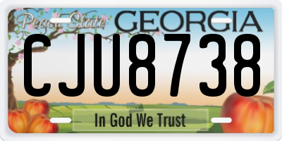 GA license plate CJU8738