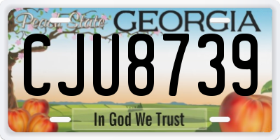 GA license plate CJU8739