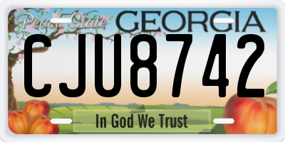 GA license plate CJU8742