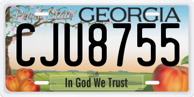 GA license plate CJU8755