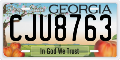GA license plate CJU8763