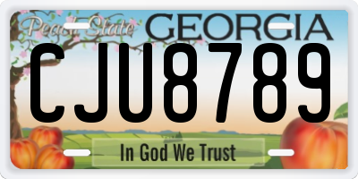 GA license plate CJU8789