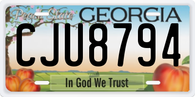 GA license plate CJU8794