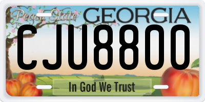 GA license plate CJU8800