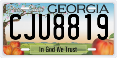 GA license plate CJU8819