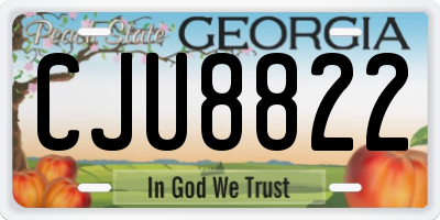 GA license plate CJU8822