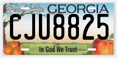 GA license plate CJU8825