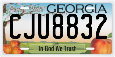 GA license plate CJU8832