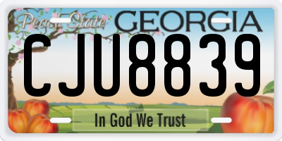 GA license plate CJU8839