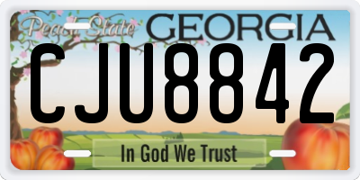 GA license plate CJU8842