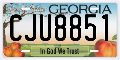 GA license plate CJU8851