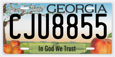 GA license plate CJU8855