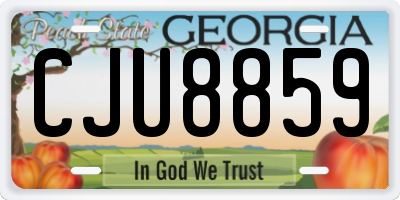 GA license plate CJU8859